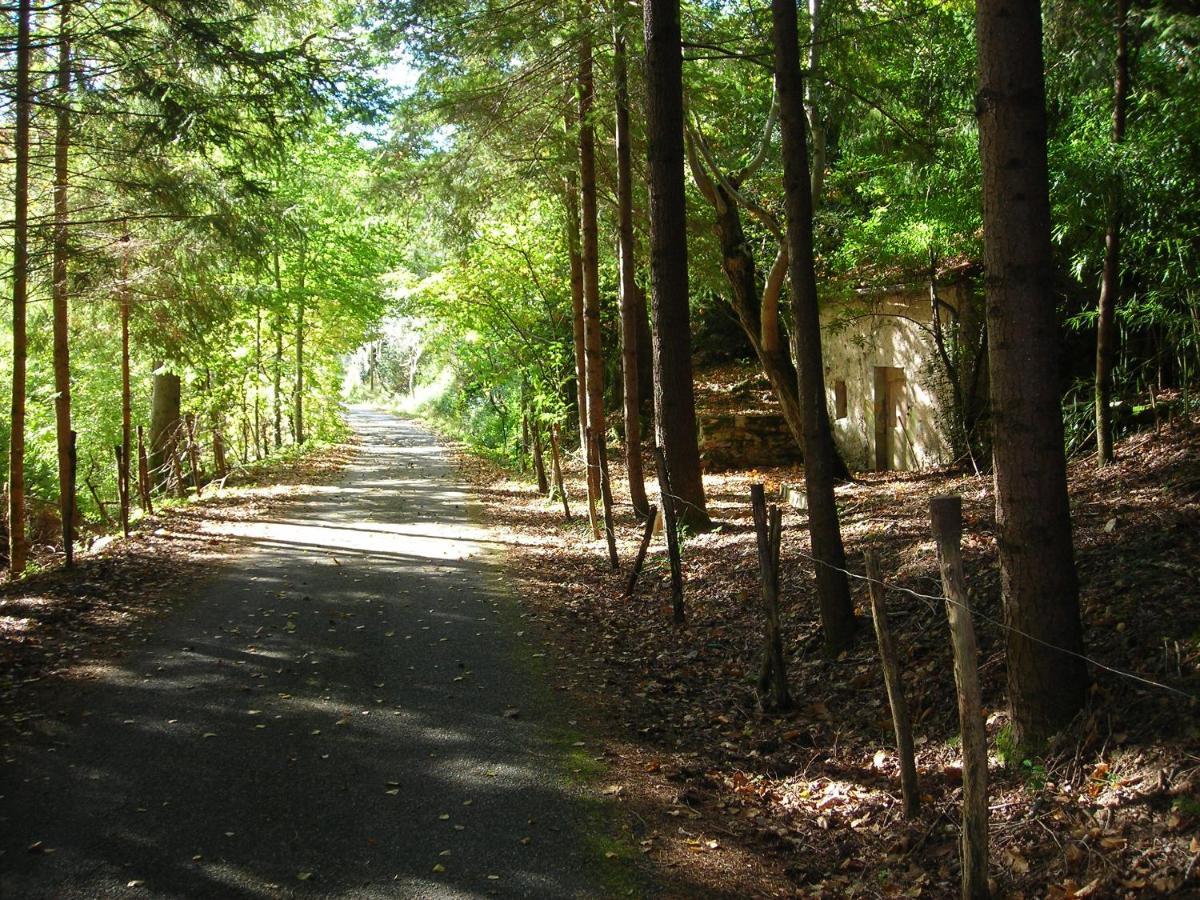 Logis Hotel Le Belle Rive Najac Kültér fotó